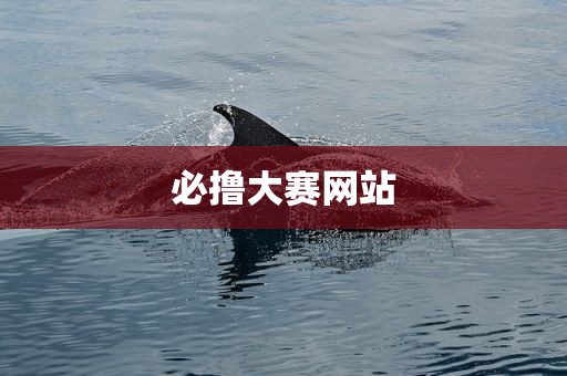 必撸大赛网站