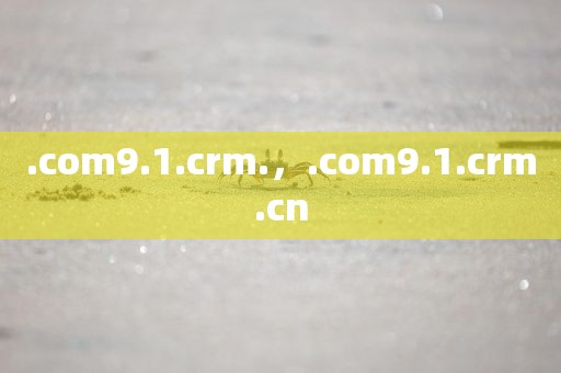 .com9.1.crm.，.com9.1.crm.cn