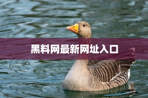 黑料网最新网址入口