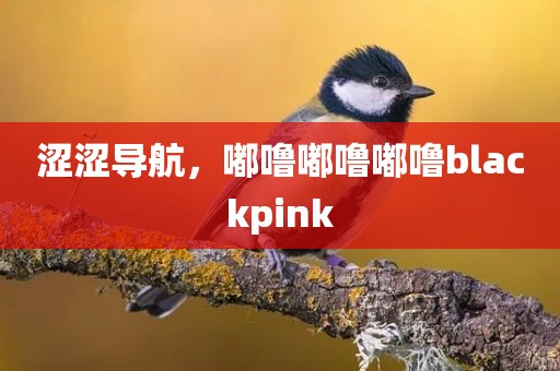 涩涩导航，嘟噜嘟噜嘟噜blackpink
