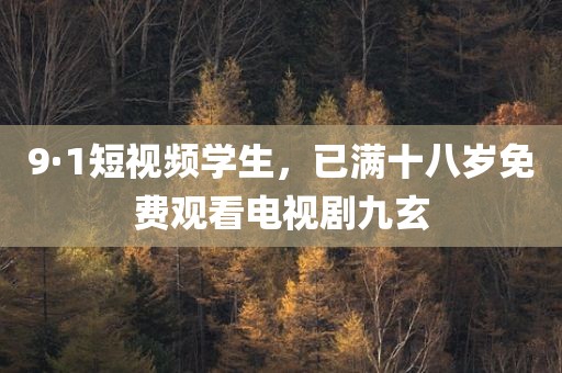 9·1短视频学生，已满十八岁免费观看电视剧九玄