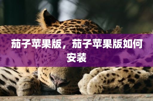 茄子苹果版，茄子苹果版如何安装