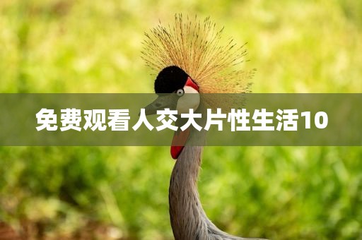 免费观看人交大片性生活10