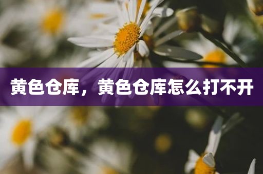 黄色仓库，黄色仓库怎么打不开
