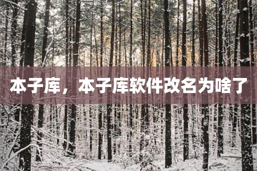 本子库，本子库软件改名为啥了