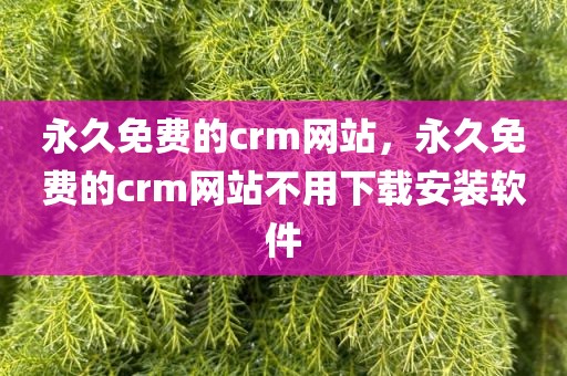 永久免费的crm网站，永久免费的crm网站不用下载安装软件