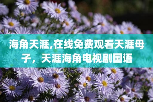 海角天涯,在线免费观看天涯母子，天涯海角电视剧国语