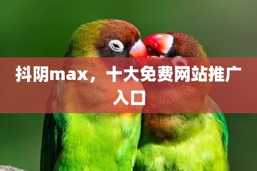 抖阴max，十大免费网站推广入口