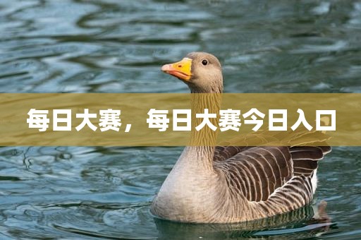 每日大赛，每日大赛今日入口