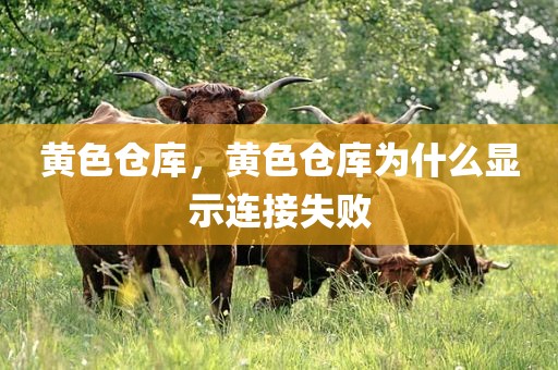 黄色仓库，黄色仓库为什么显示连接失败