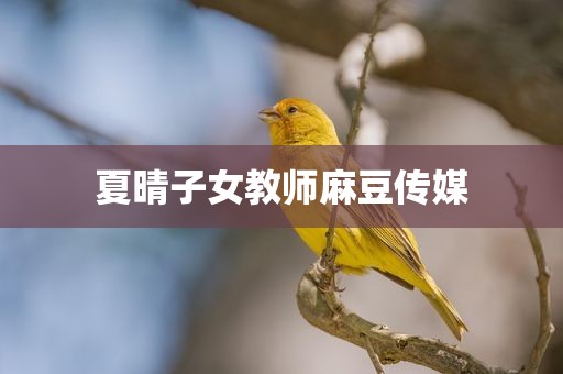 夏晴子女教师麻豆传媒