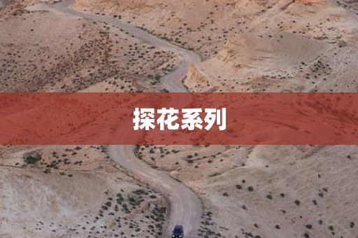 探花系列