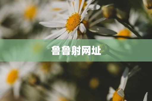 鲁鲁射网址