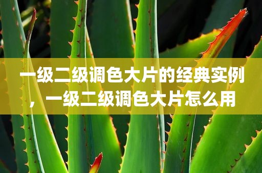 一级二级调色大片的经典实例，一级二级调色大片怎么用