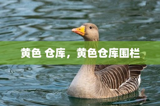 黄色 仓库，黄色仓库围栏