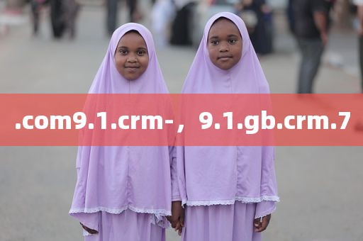 .com9.1.crm-，9.1.gb.crm.7