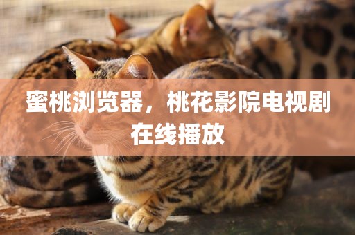 蜜桃浏览器，桃花影院电视剧在线播放