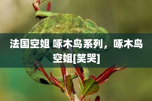 法国空姐 啄木鸟系列，啄木鸟空姐[笑哭]