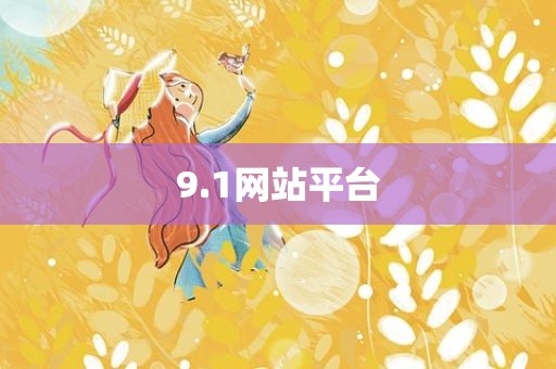 9.1网站平台