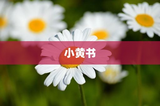 小黄书