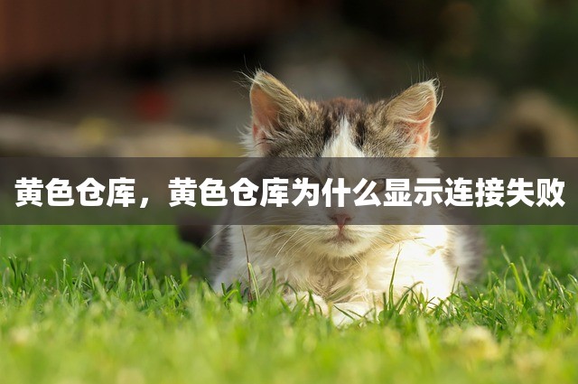 黄色仓库，黄色仓库为什么显示连接失败
