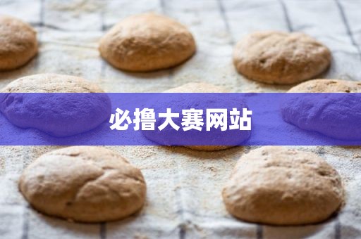 必撸大赛网站