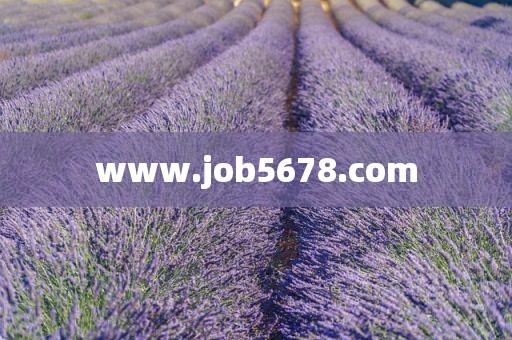 www.job5678.com