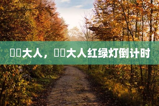 芃芃大人，芃芃大人红绿灯倒计时