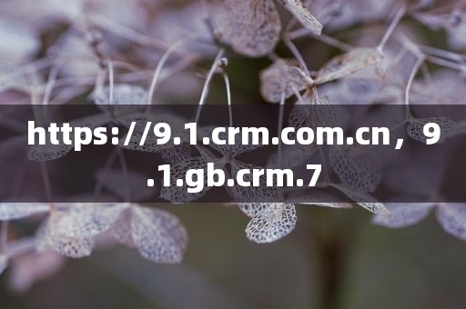 https://9.1.crm.com.cn，9.1.gb.crm.7
