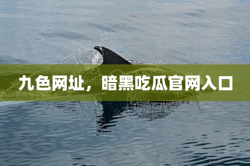 九色网址，暗黑吃瓜官网入口