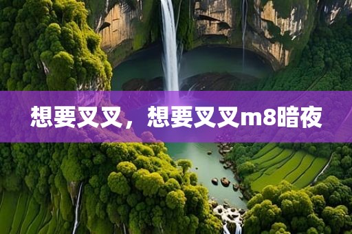 想要叉叉，想要叉叉m8暗夜