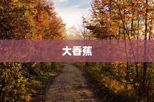 大香蕉
