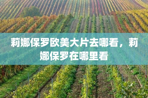 莉娜保罗欧美大片去哪看，莉娜保罗在哪里看