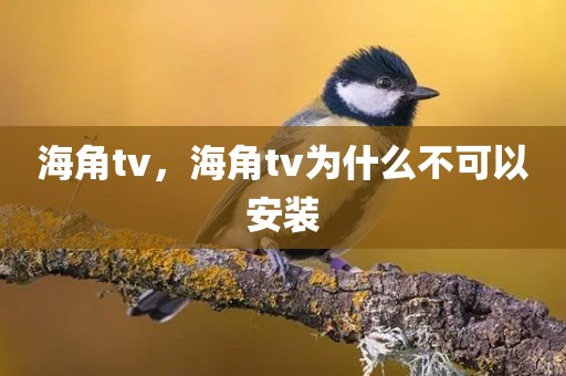海角tv，海角tv为什么不可以安装