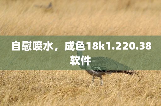 自慰喷水，成色18k1.220.38软件