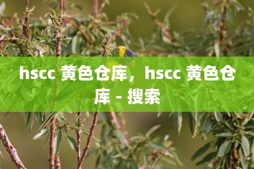 hscc 黄色仓库，hscc 黄色仓库 - 搜索