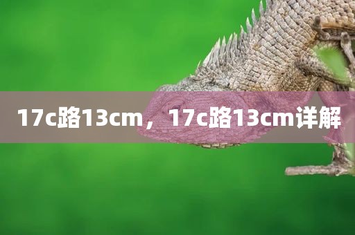 17c路13cm，17c路13cm详解