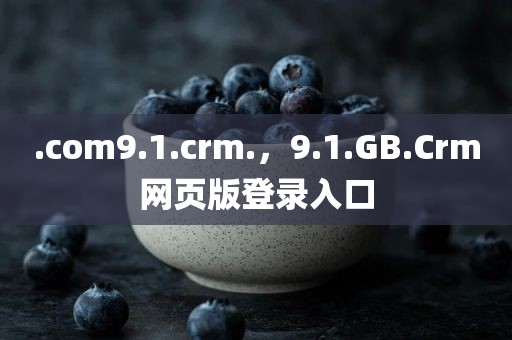 .com9.1.crm.，9.1.GB.Crm网页版登录入口
