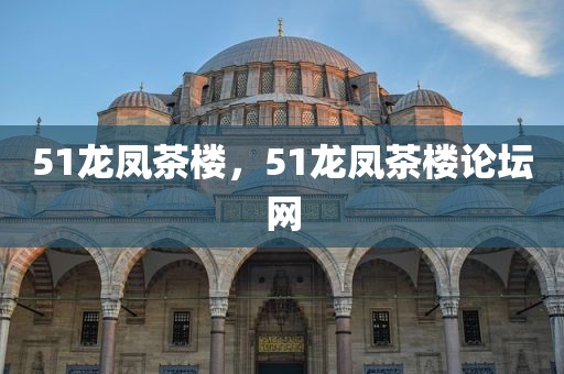51龙凤茶楼，51龙凤茶楼论坛网