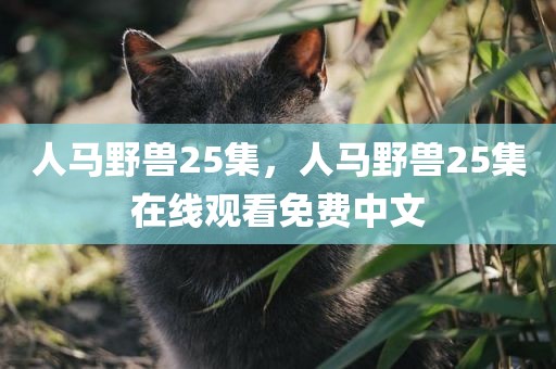 人马野兽25集，人马野兽25集在线观看免费中文
