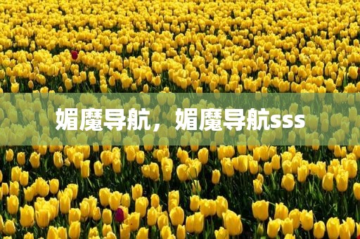 媚魔导航，媚魔导航sss