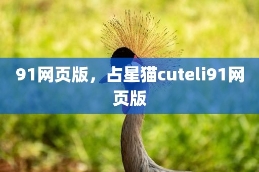 91网页版，占星猫cuteli91网页版