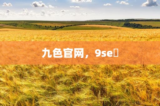 九色官网，9se 