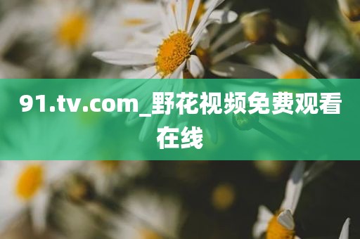 91.tv.com_野花视频免费观看在线