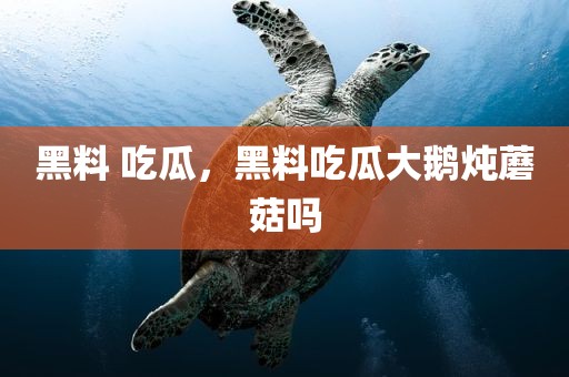 黑料 吃瓜，黑料吃瓜大鹅炖蘑菇吗