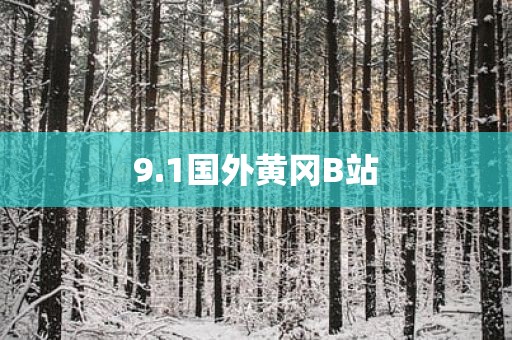 9.1国外黄冈B站