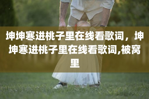 坤坤寒进桃子里在线看歌词，坤坤寒进桃子里在线看歌词,被窝里