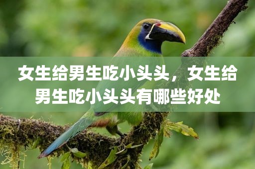 女生给男生吃小头头，女生给男生吃小头头有哪些好处