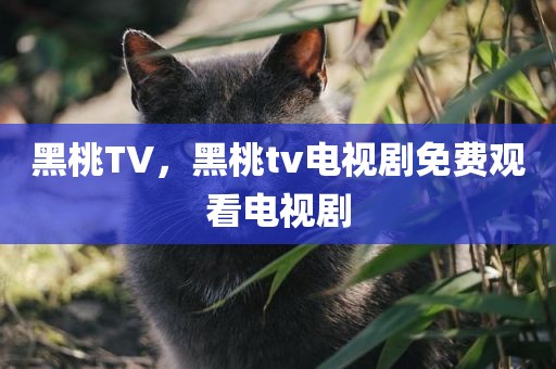 黑桃TV，黑桃tv电视剧免费观看电视剧