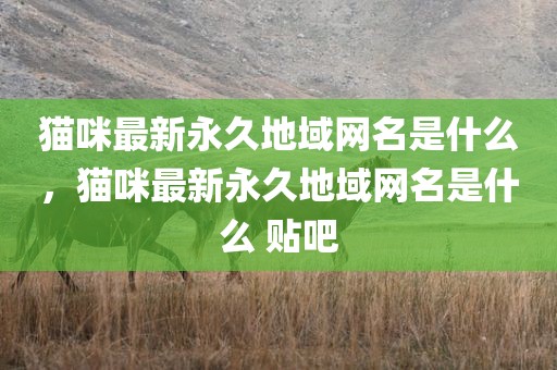 猫咪最新永久地域网名是什么，猫咪最新永久地域网名是什么 贴吧